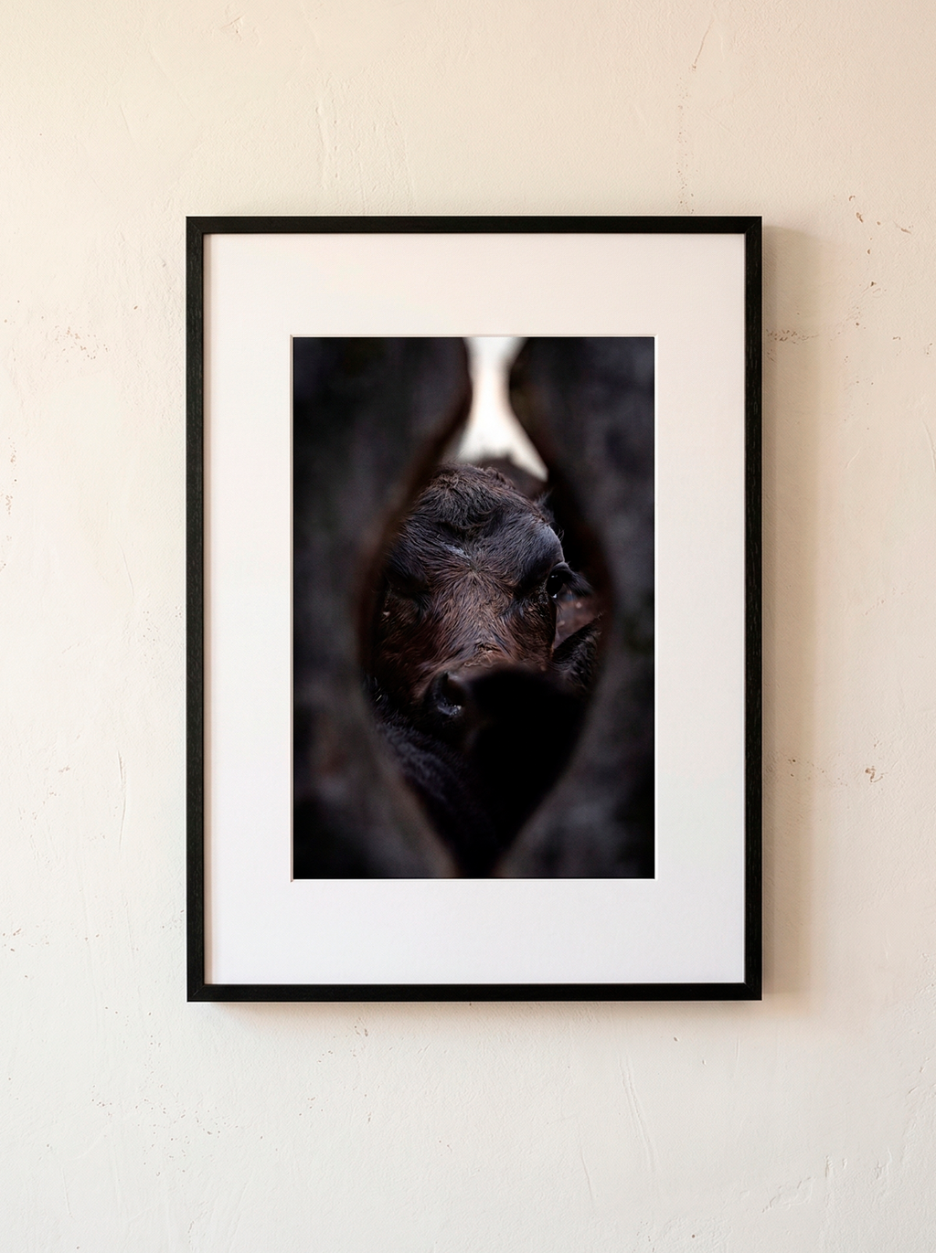“Refugio” — Serie Campo Argentino — Victoria de Souza