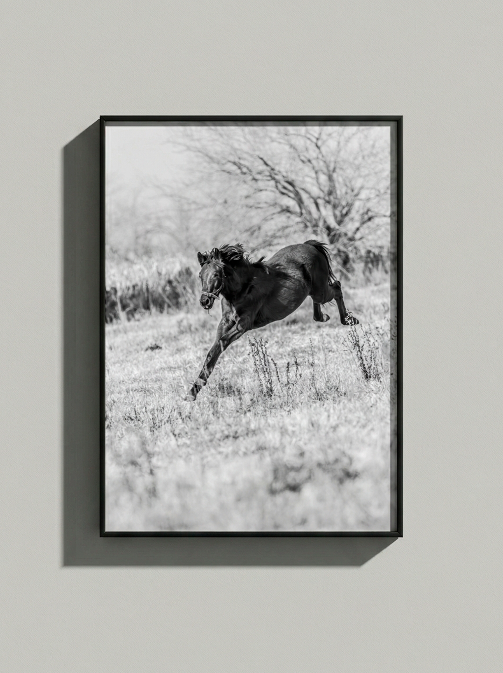 “Vida” — Serie Campo Argentino — Victoria de Souza