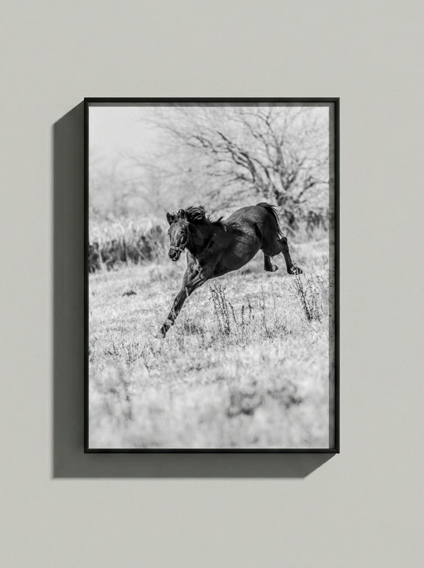 “Vida” — Serie Campo Argentino — Victoria de Souza