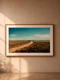 "Camino Blanco" — Serie Geografía en Silencio — Caio Nery