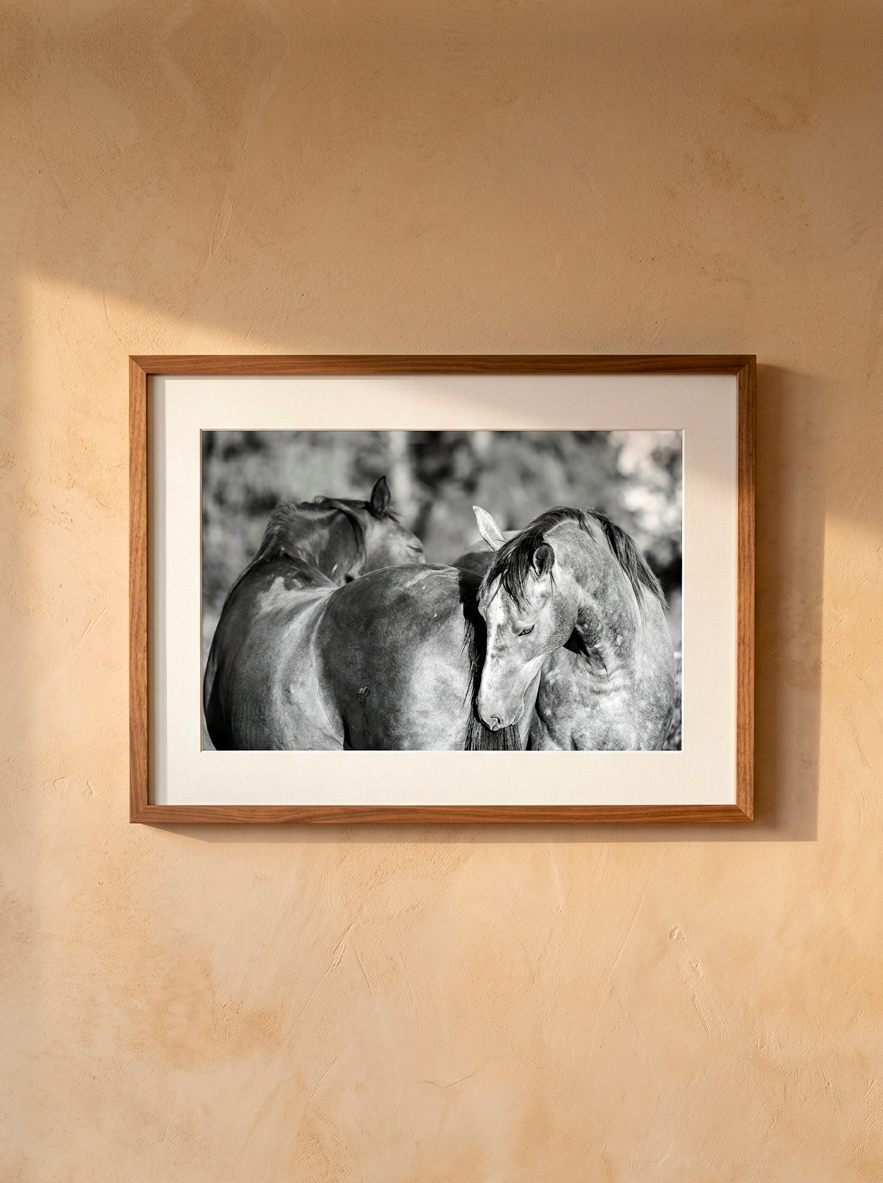 “Abrazo” — Serie Campo Argentino — Victoria de Souza