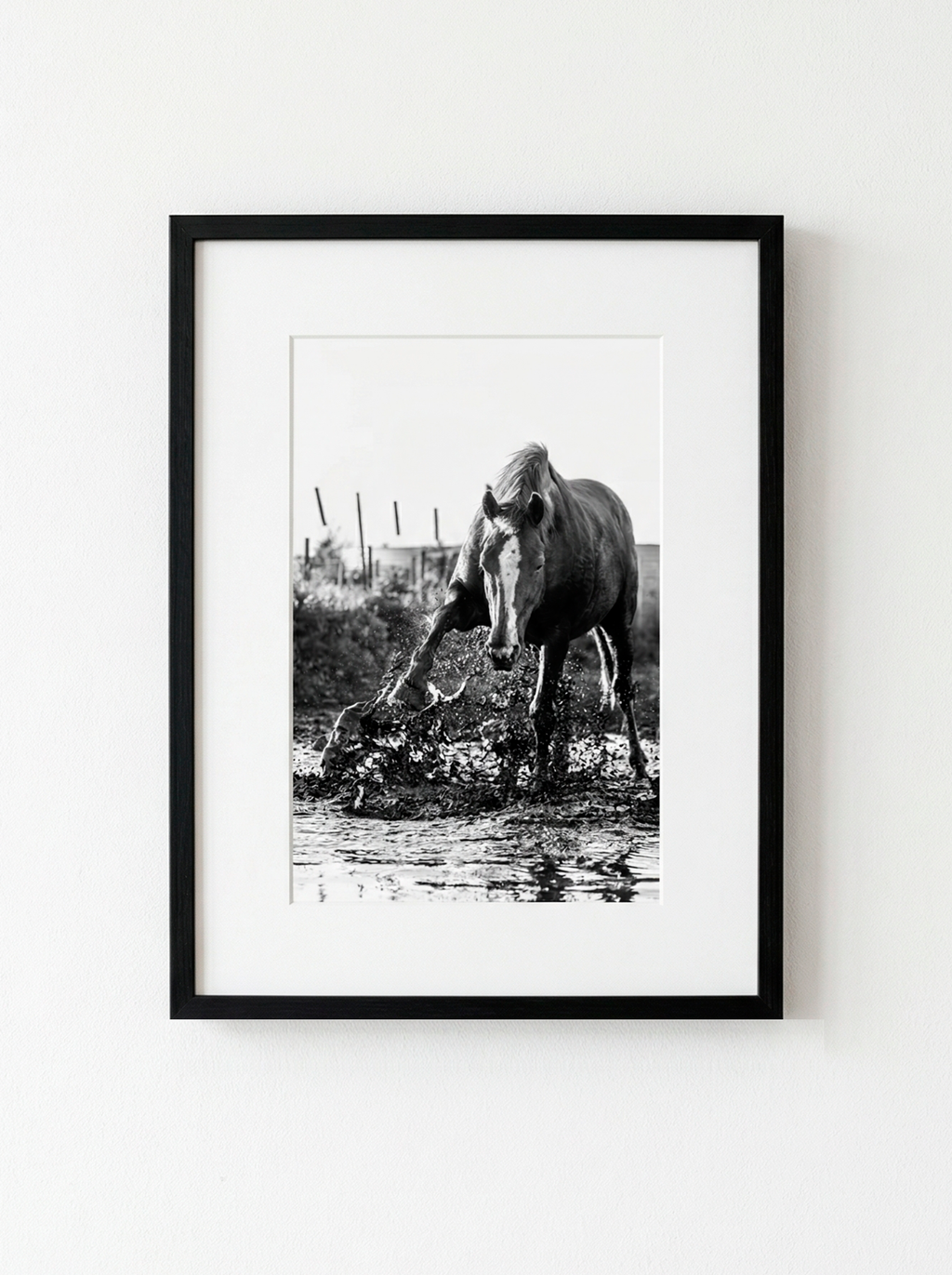 “Brío” — Serie Campo Argentino — Victoria de Souza