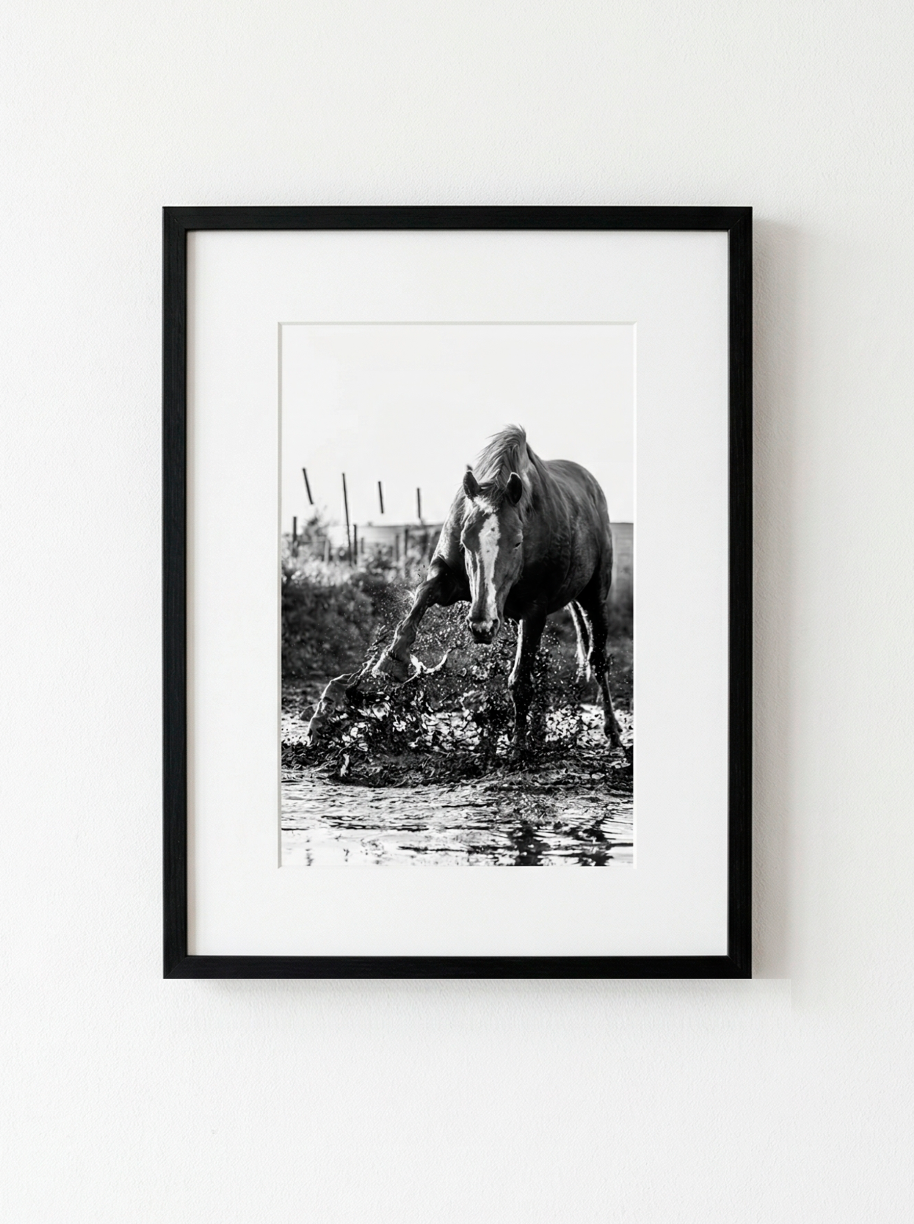“Brío” — Serie Campo Argentino — Victoria de Souza