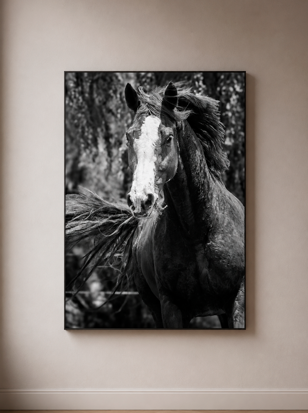 “Alma Criolla” — Serie Campo Argentino — Victoria de Souza