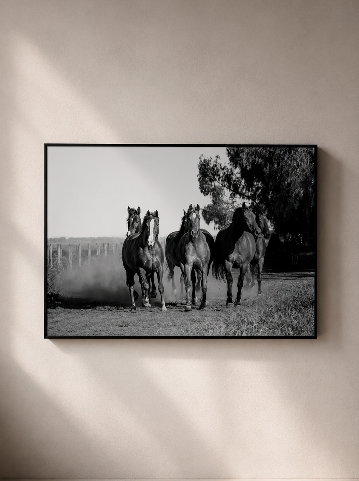 “Corazón de Manada” — Serie Campo Argentino — Victoria de Souza