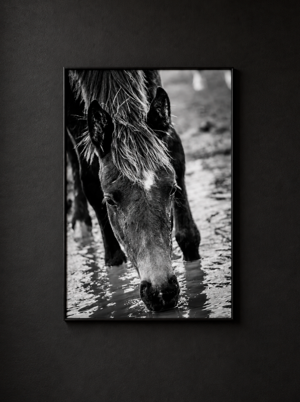 “Agua Mansa” — Serie Campo Argentino — Victoria de Souza