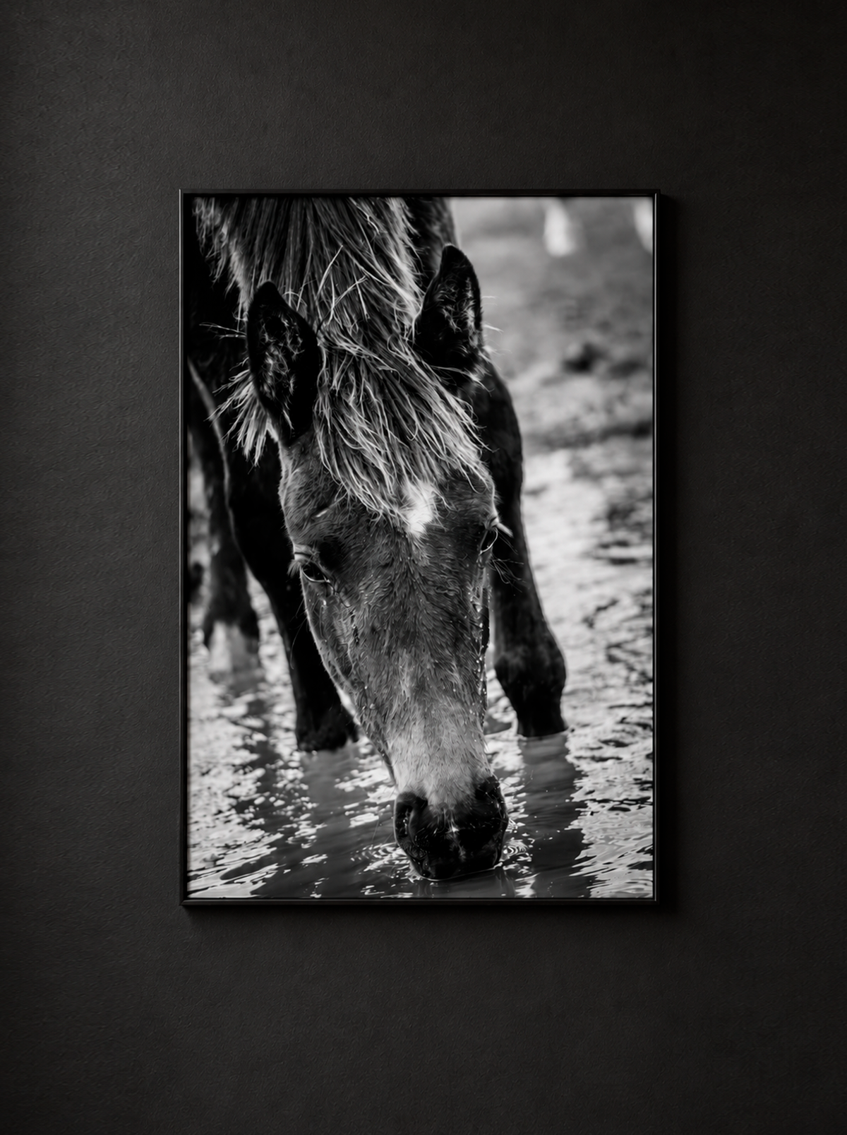 “Agua Mansa” — Serie Campo Argentino — Victoria de Souza