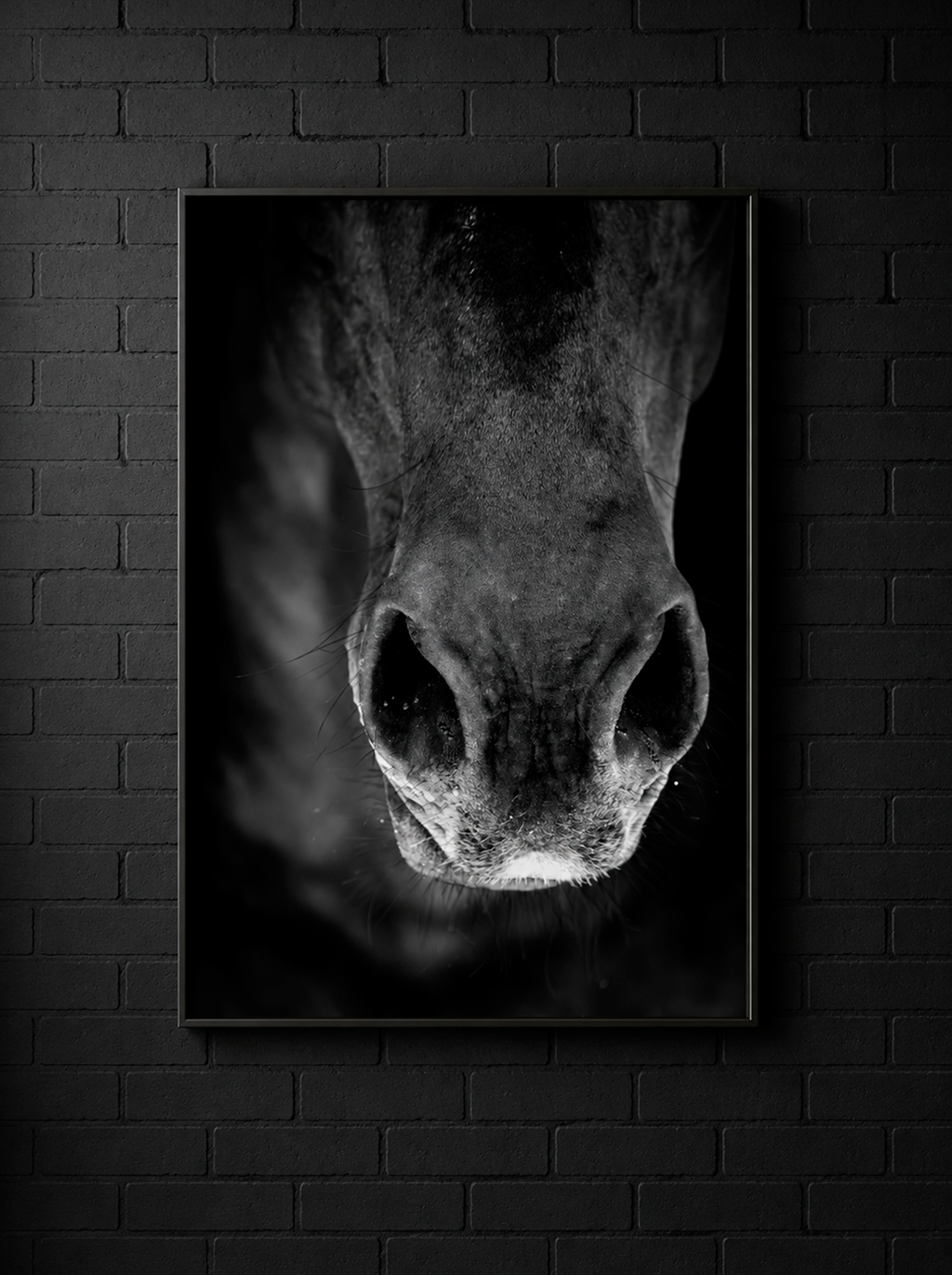 “Aliento” — Serie Campo Argentino — Victoria de Souza