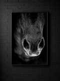 “Aliento” — Serie Campo Argentino — Victoria de Souza