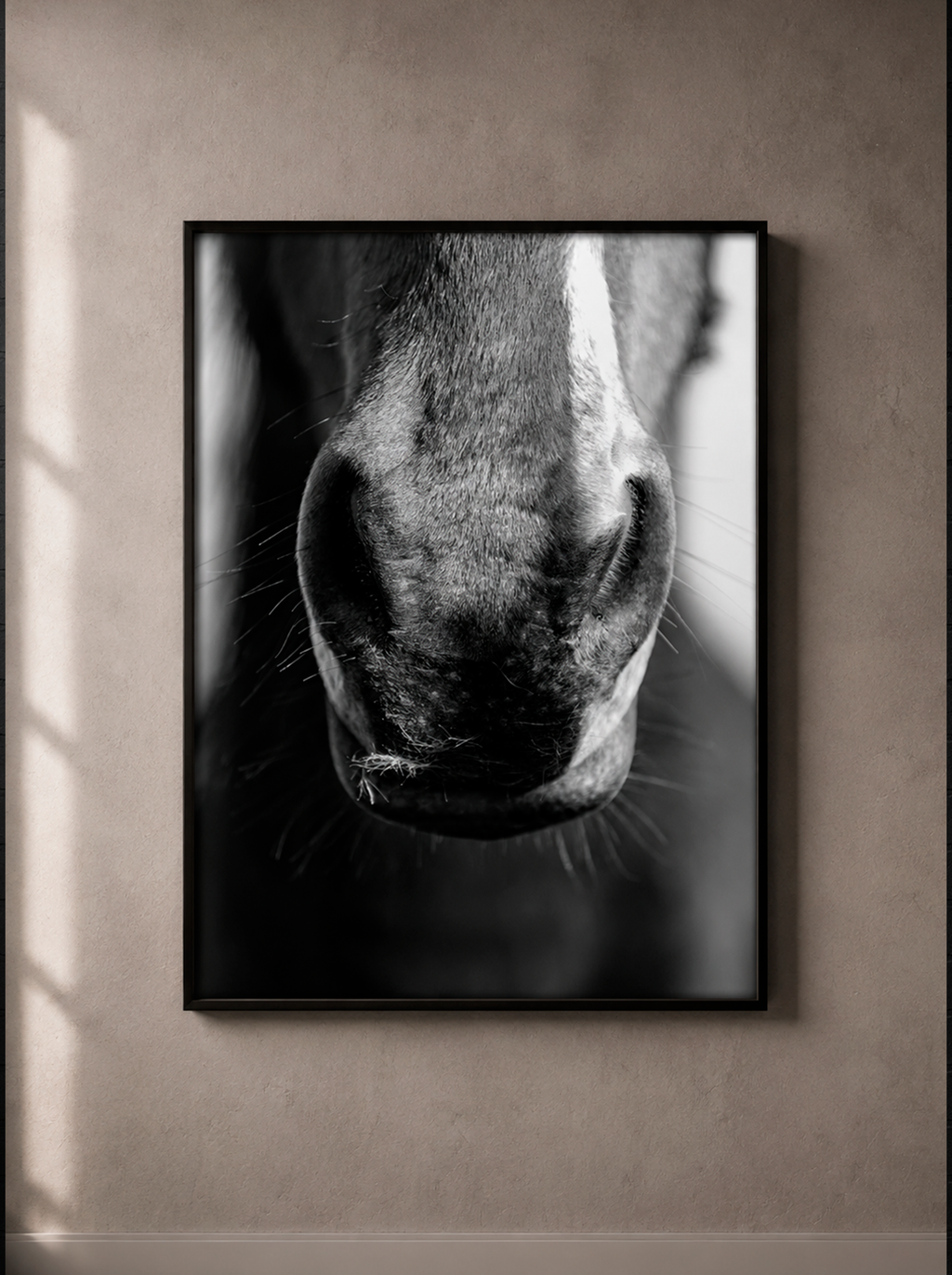 “Cercanía” — Serie Campo Argentino — Victoria de Souza