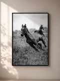 “Primer Galope” — Serie Campo Argentino — Victoria de Souza