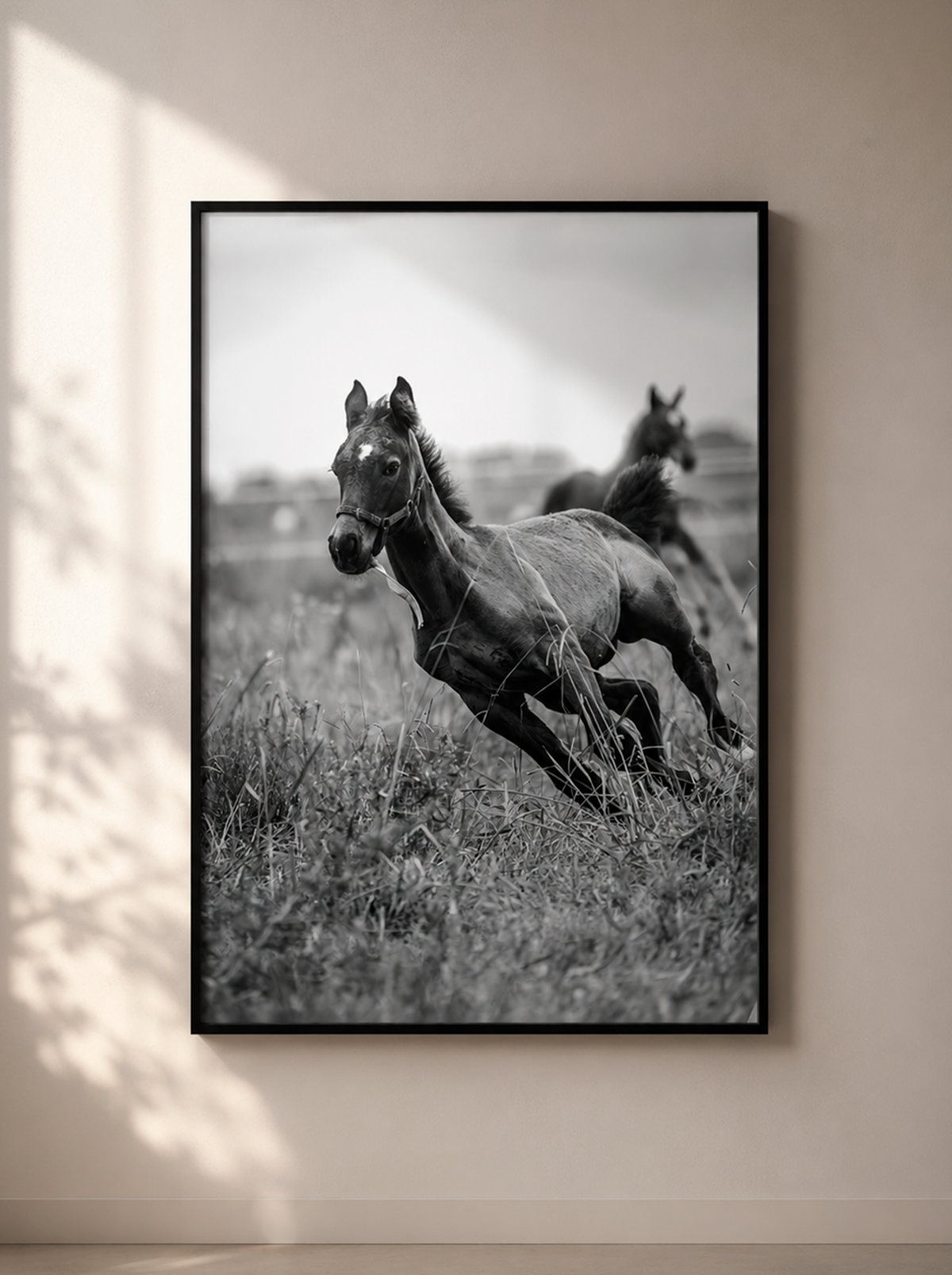 “Primer Galope” — Serie Campo Argentino — Victoria de Souza