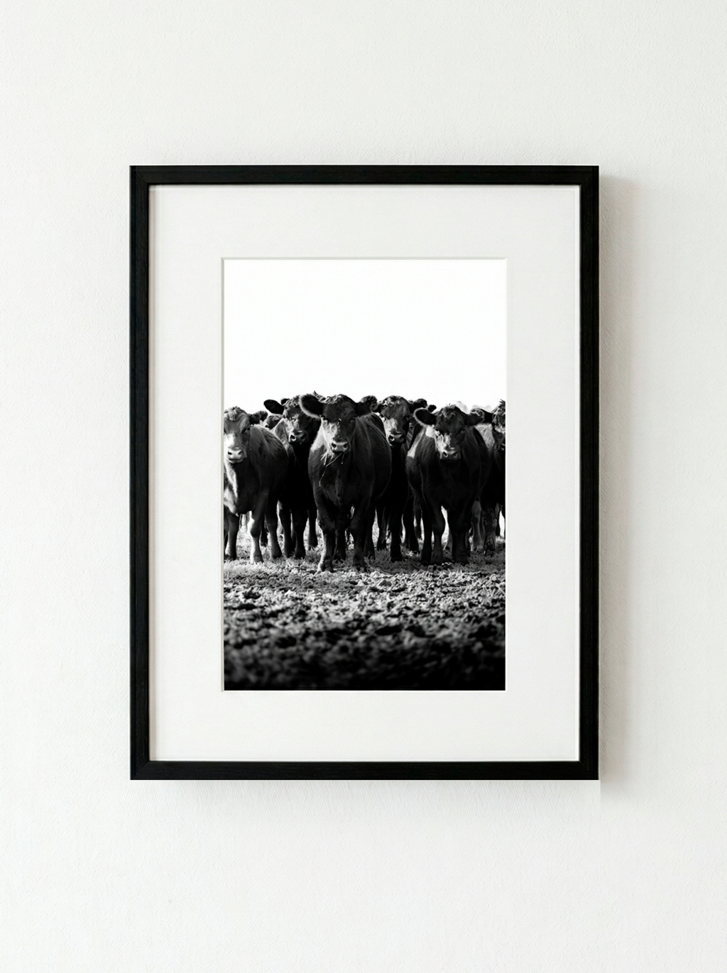“Frente a Frente” — Serie Campo Argentino — Victoria de Souza