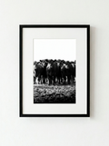 “Frente a Frente” — Serie Campo Argentino — Victoria de Souza