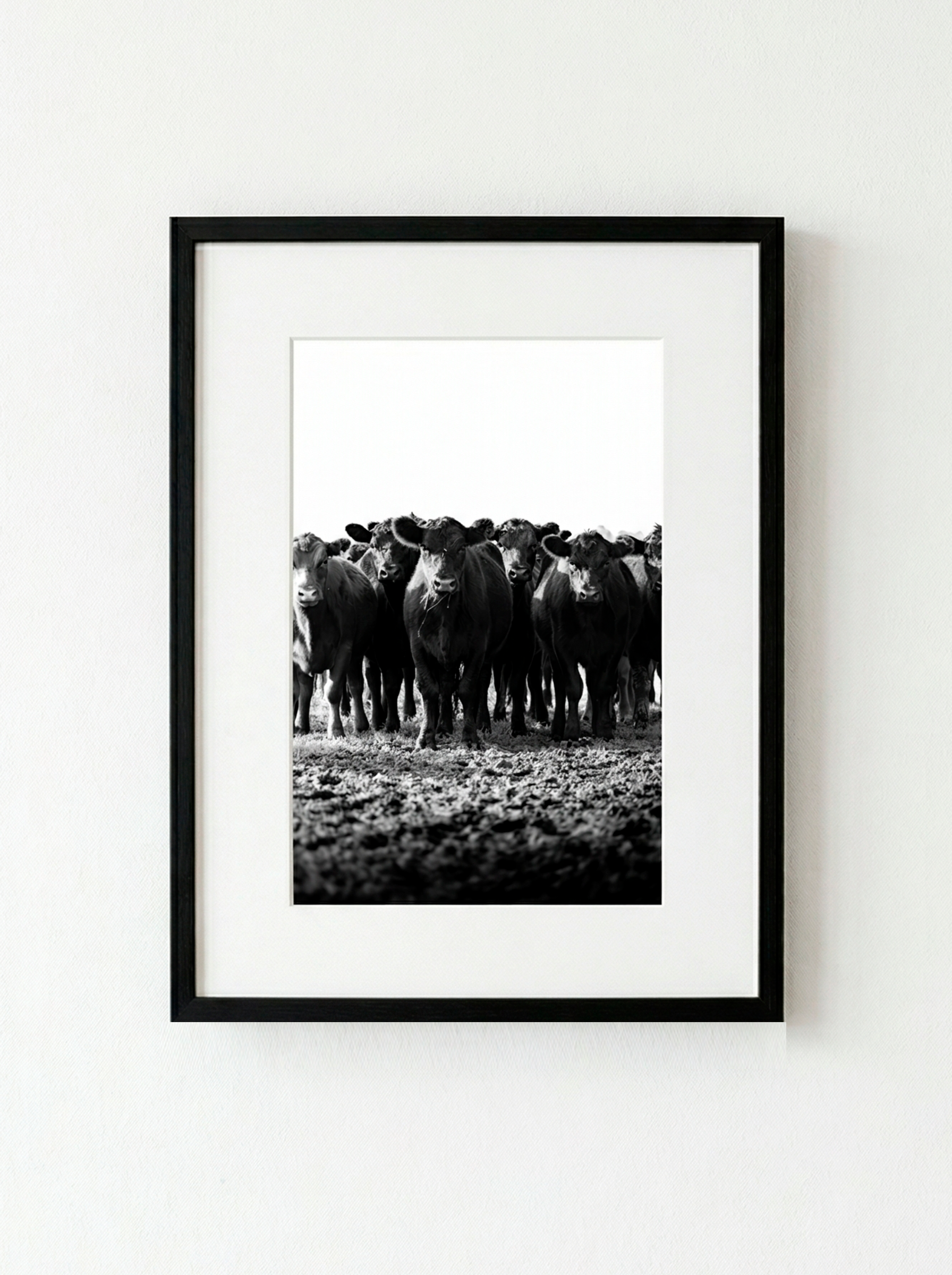 “Frente a Frente” — Serie Campo Argentino — Victoria de Souza