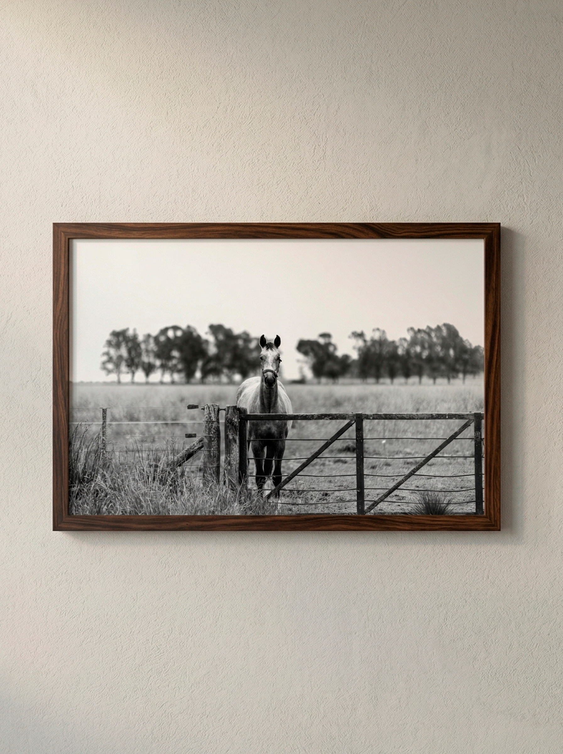 “Guardia Mansa” — Serie Campo Argentino — Victoria de Souza