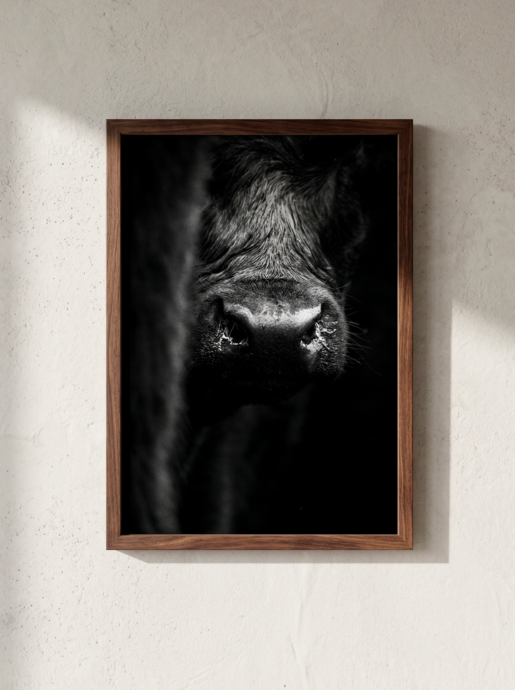 “Umbral” — Serie Campo Argentino — Victoria de Souza