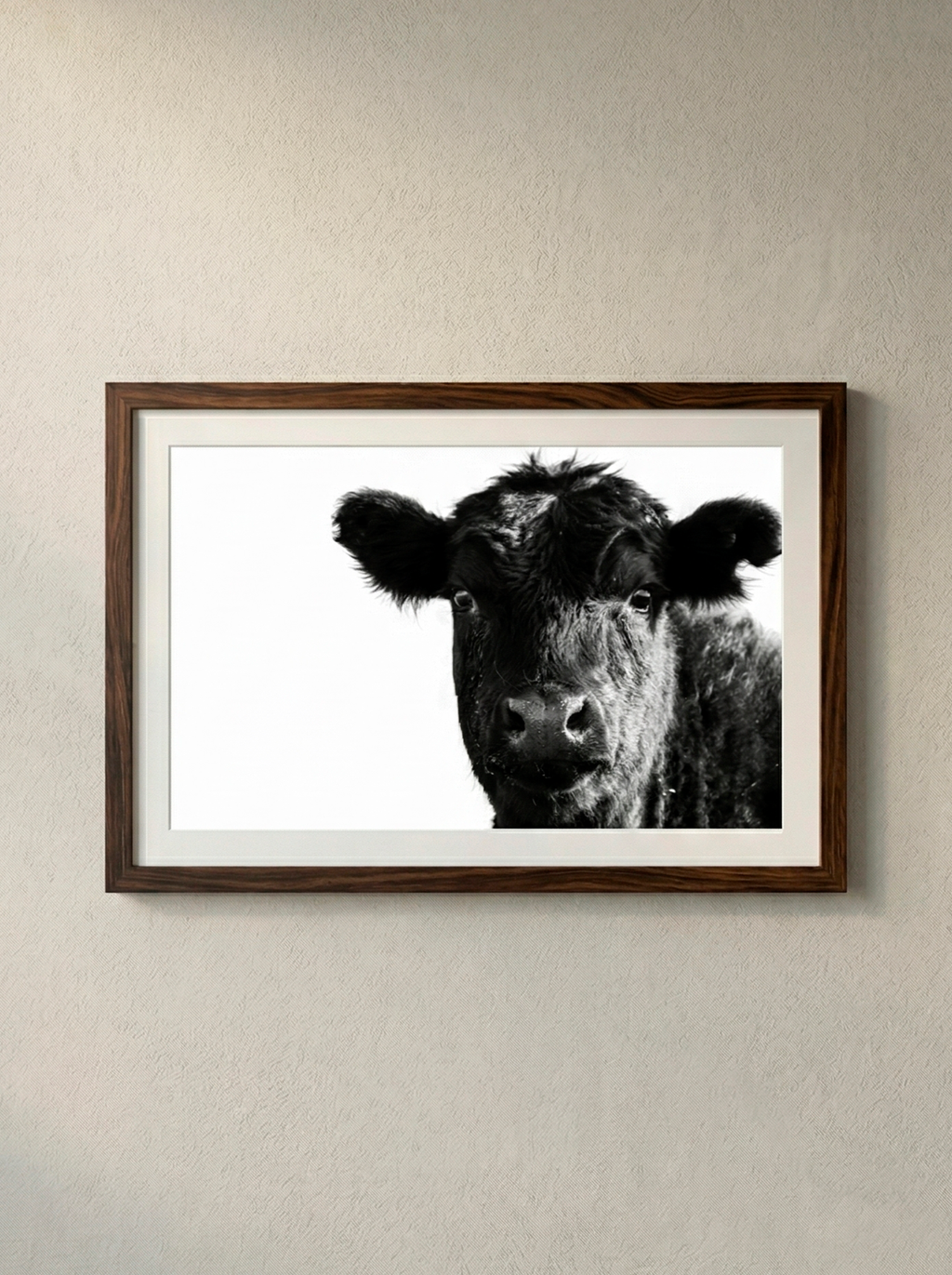 “Retrato Rural” — Serie Campo Argentino — Victoria de Souza