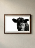 “Retrato Rural” — Serie Campo Argentino — Victoria de Souza