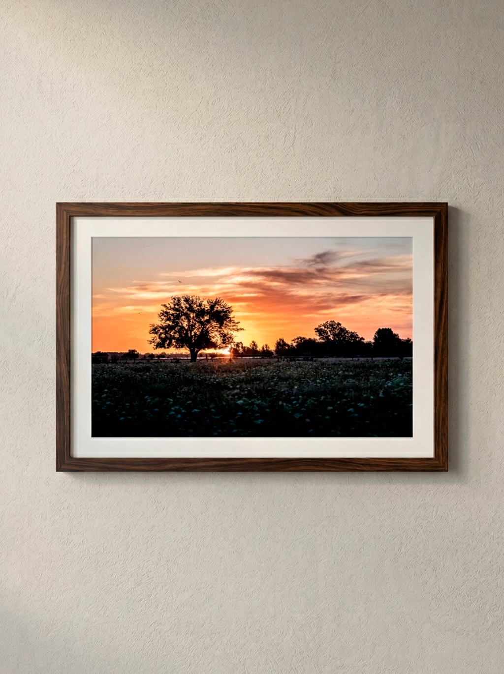 “Atardecer” — Serie Campo Argentino — Victoria de Souza