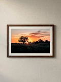 “Atardecer” — Serie Campo Argentino — Victoria de Souza