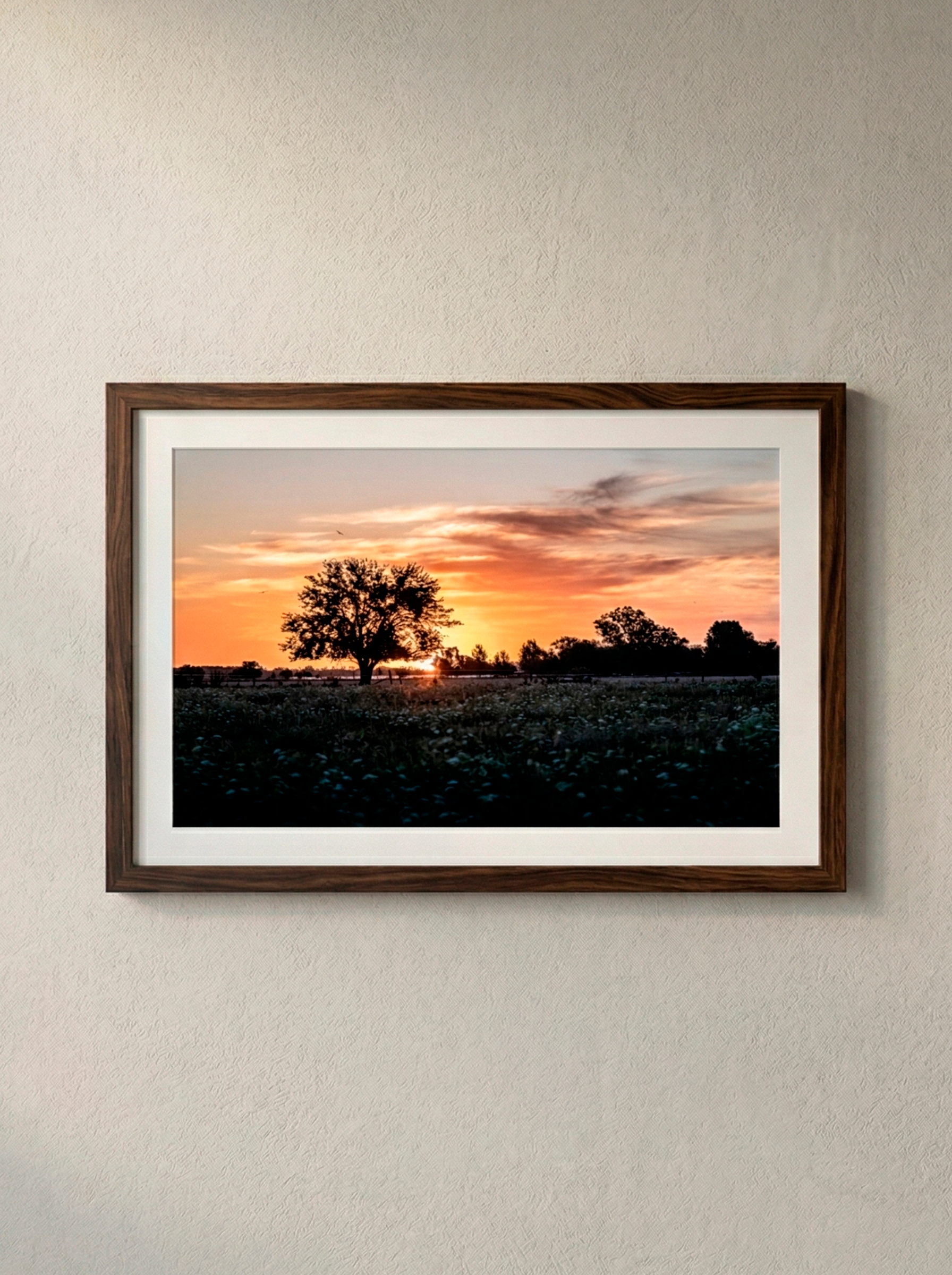 “Atardecer” — Serie Campo Argentino — Victoria de Souza