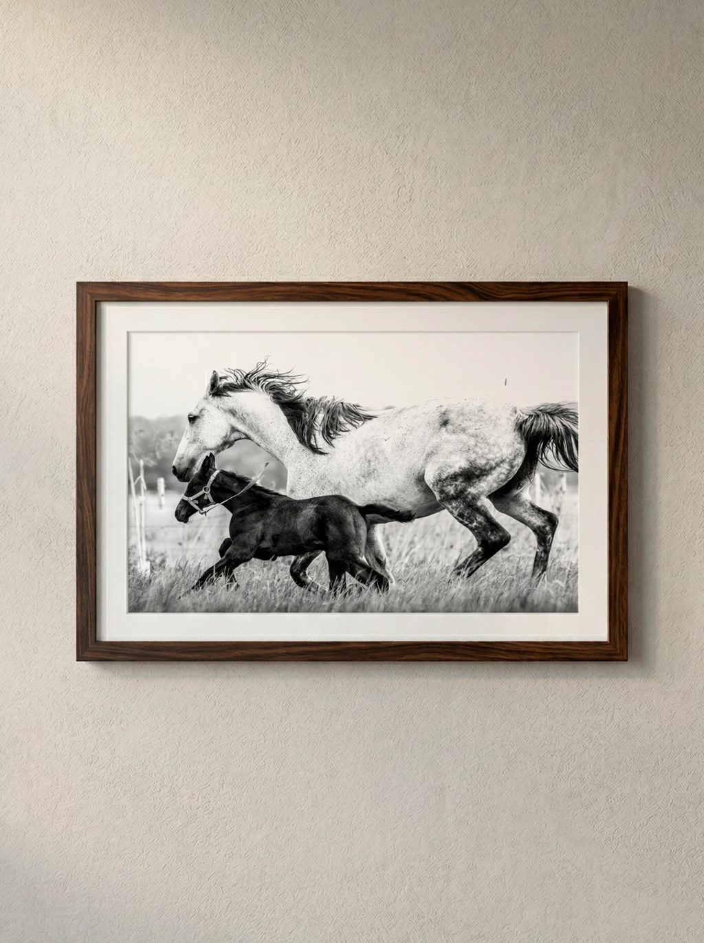 “Herencia” — Serie Campo Argentino — Victoria de Souza