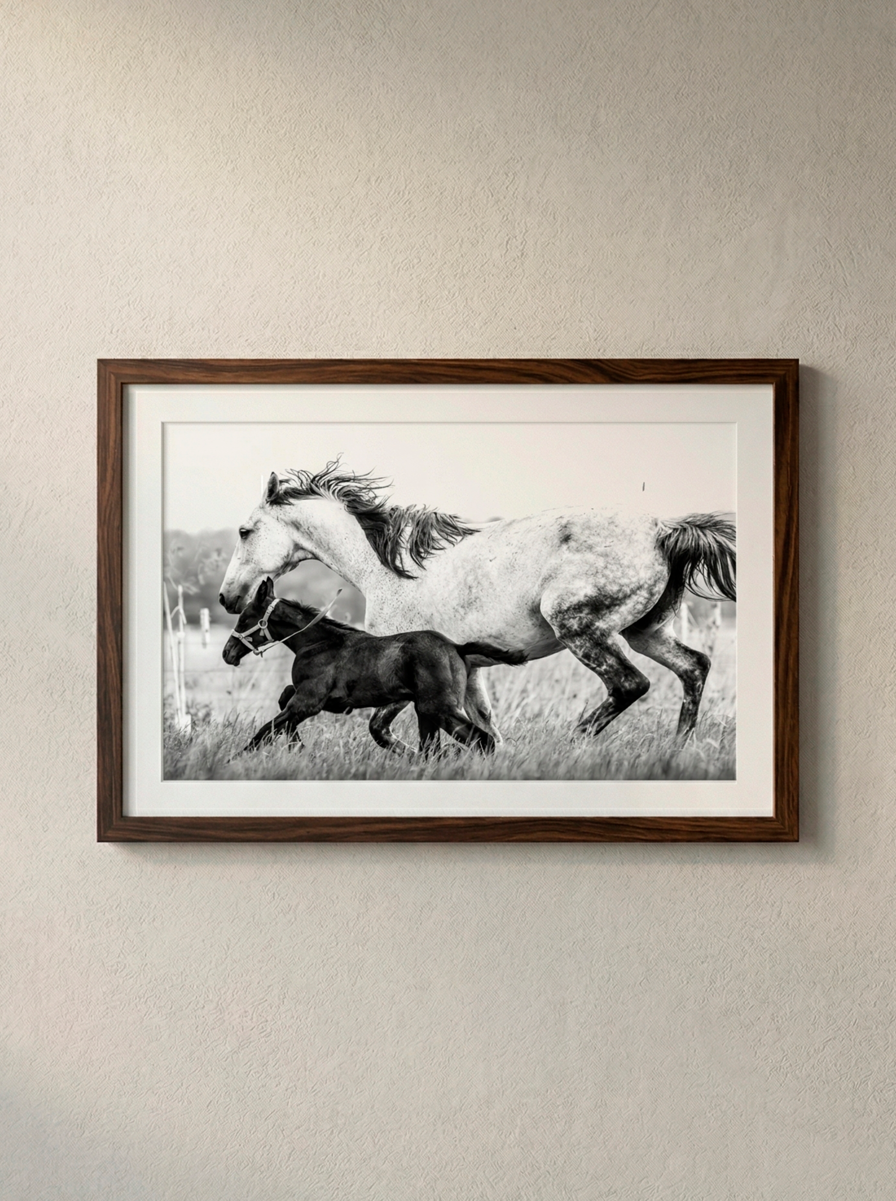 “Herencia” — Serie Campo Argentino — Victoria de Souza