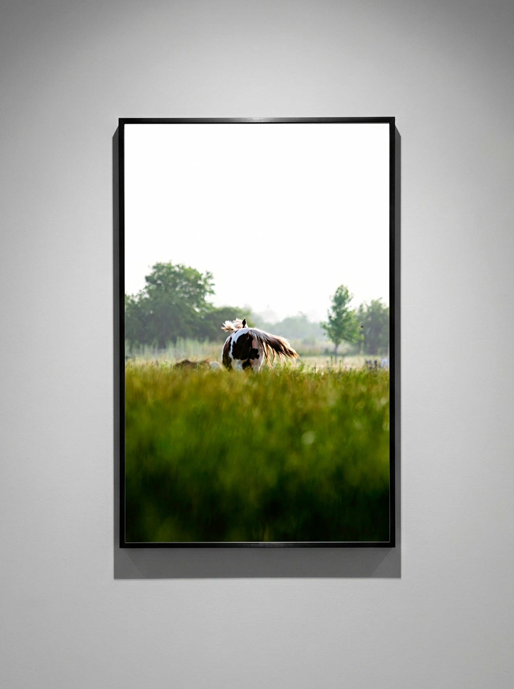 “Libre” — Serie Campo Argentino — Victoria de Souza