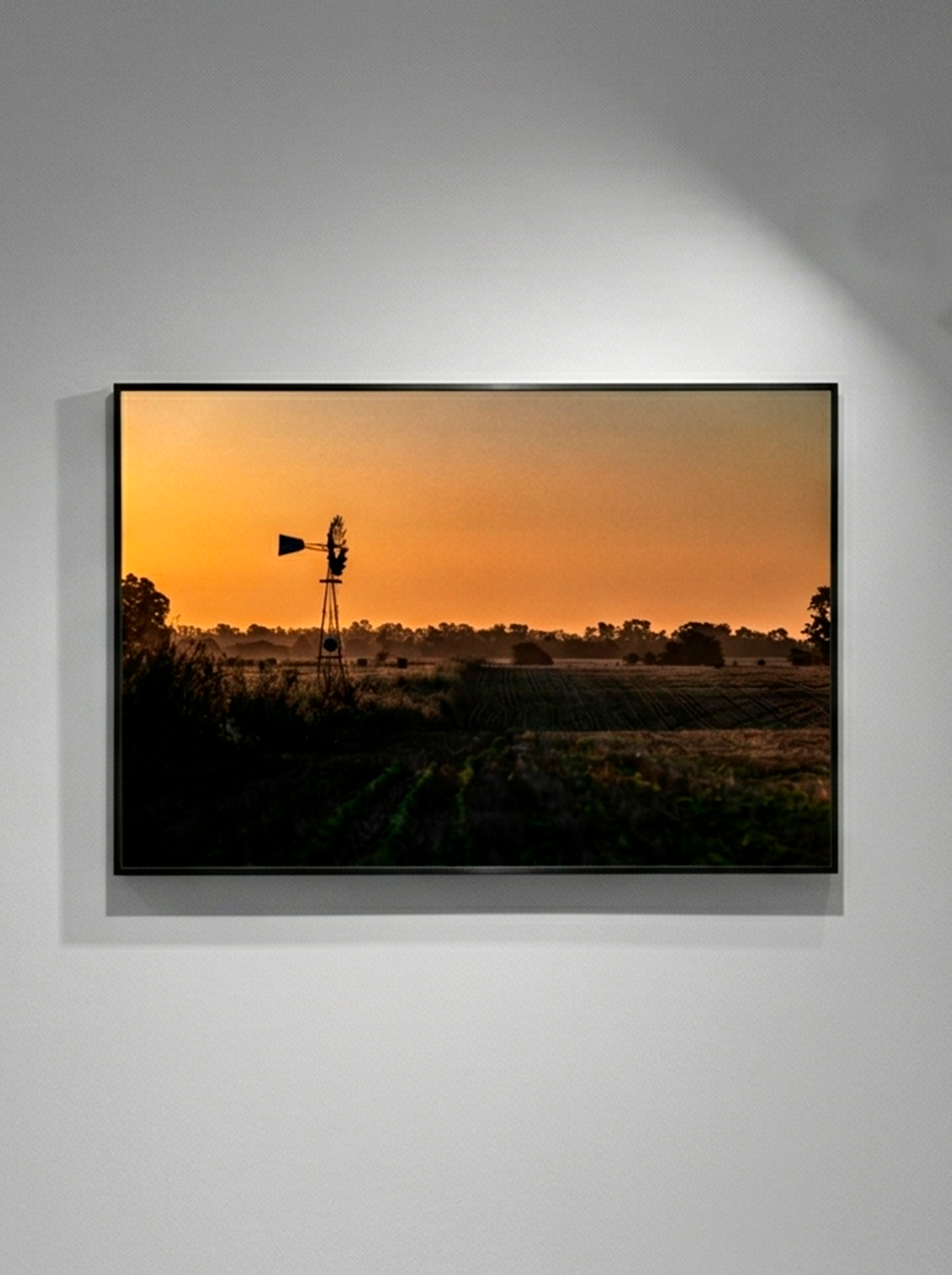 “Horizonte” — Serie Campo Argentino — Victoria de Souza