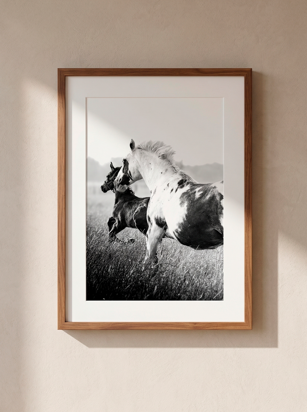 “Guía” — Serie Campo Argentino — Victoria de Souza