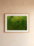 Geometría Viva — Oleh Slobodeniuk