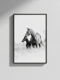 “Amparo” — Serie Campo Argentino — Victoria de Souza