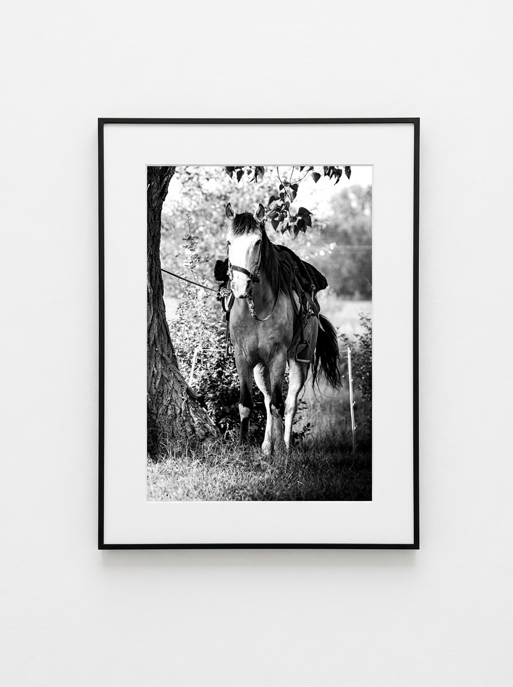 “En Espera” — Serie Campo Argentino — Victoria de Souza