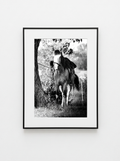 “En Espera” — Serie Campo Argentino — Victoria de Souza