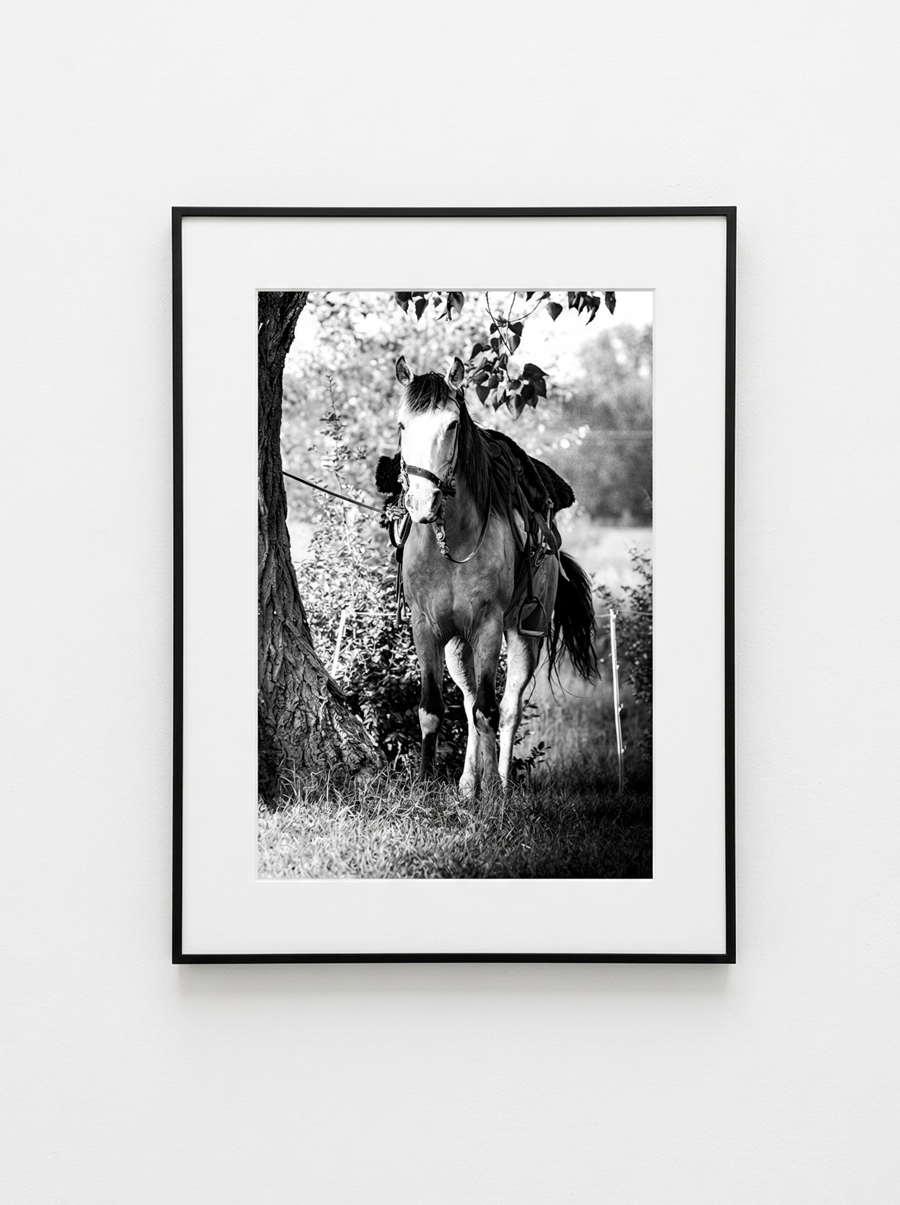 “En Espera” — Serie Campo Argentino — Victoria de Souza