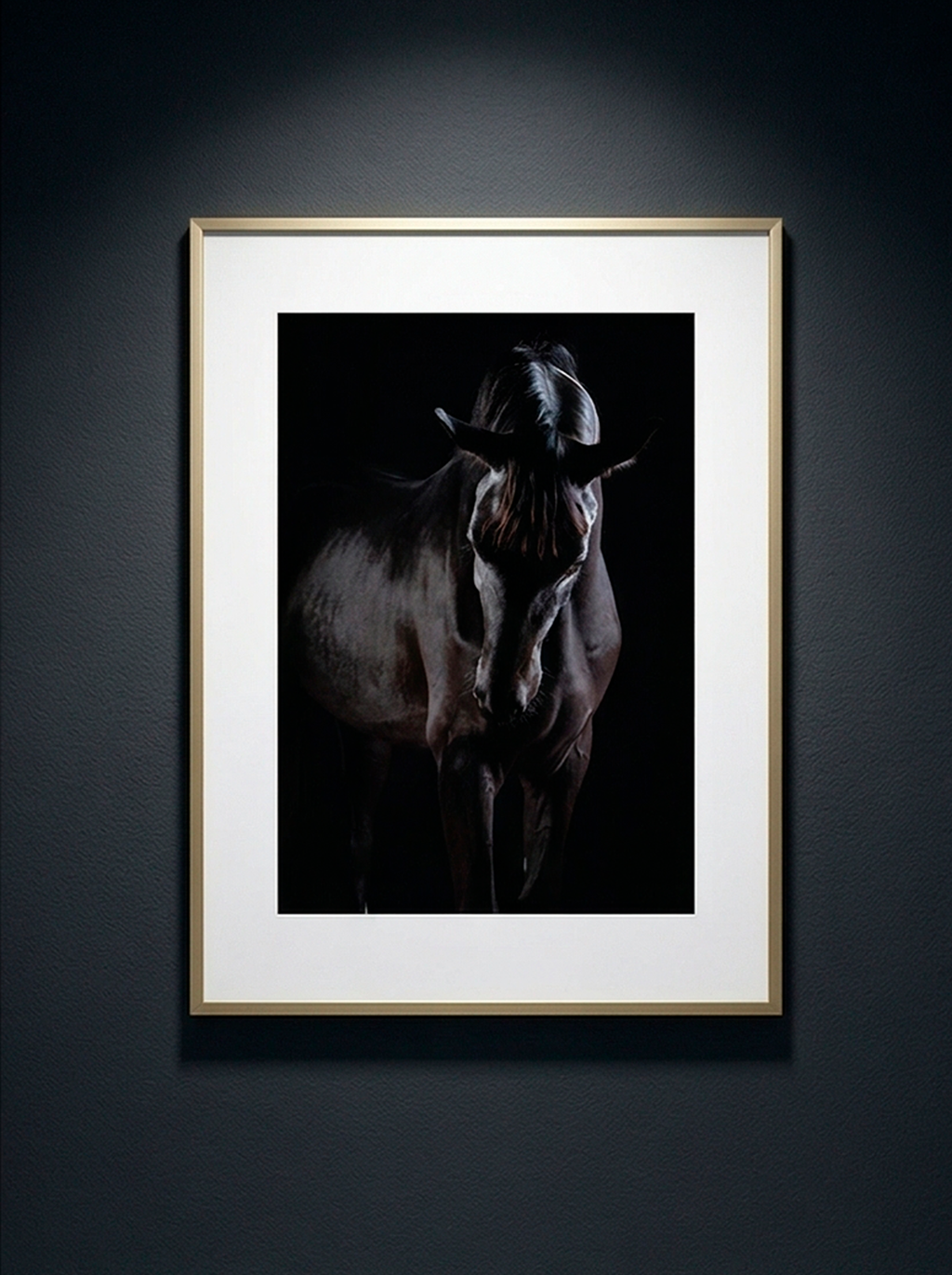 Chevalier Noir — Serie Chevaux — Kristin Viktorsson