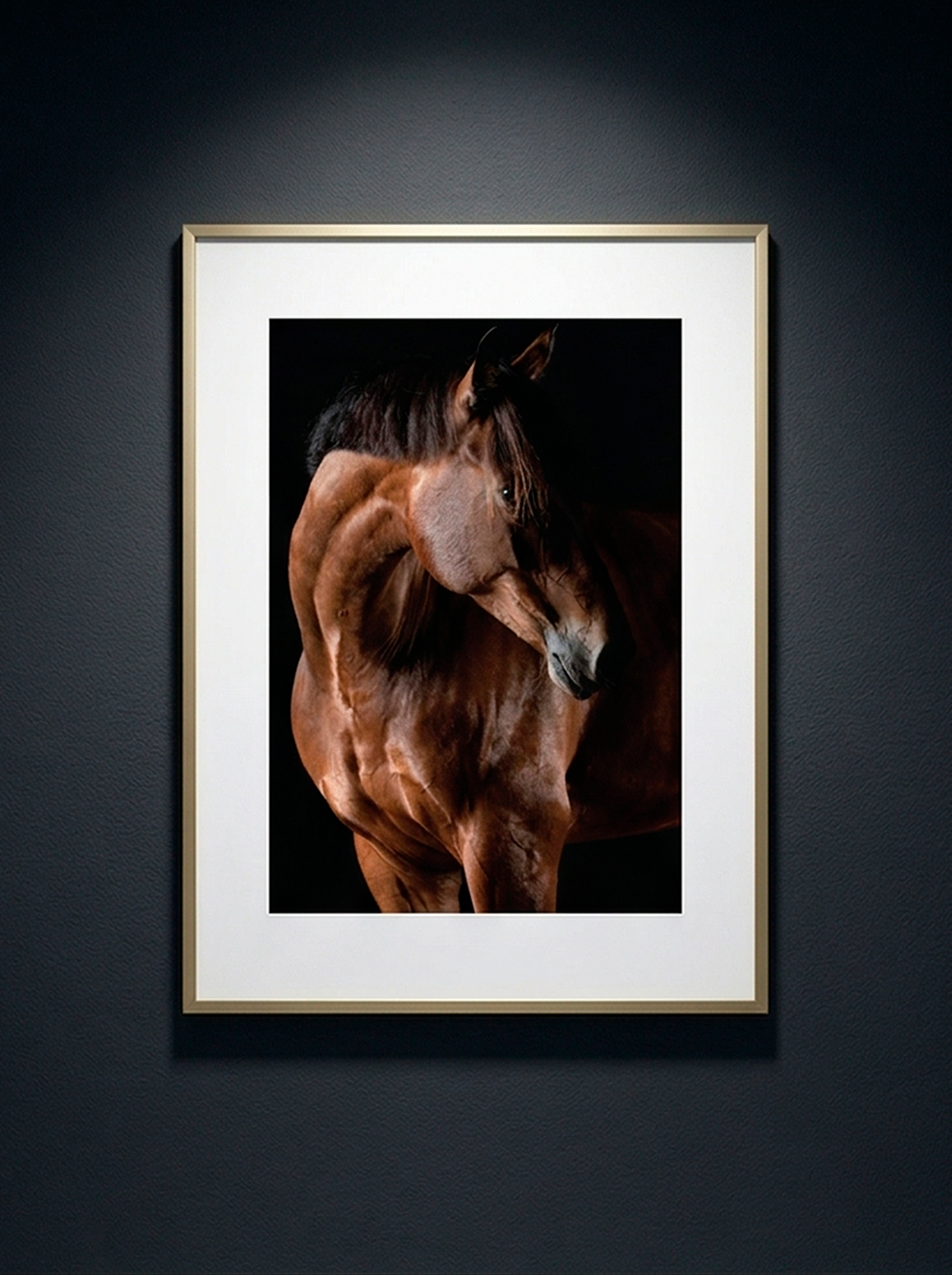 Chevalier Brun — Serie Chevaux — Kristin Viktorsson