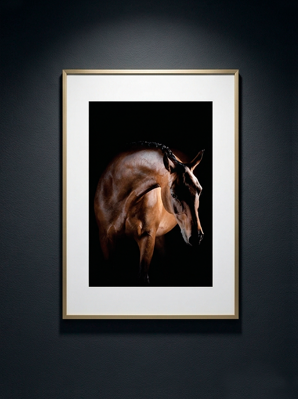 Cheval de Lumière — Serie Chevaux — Kristin Viktorsson