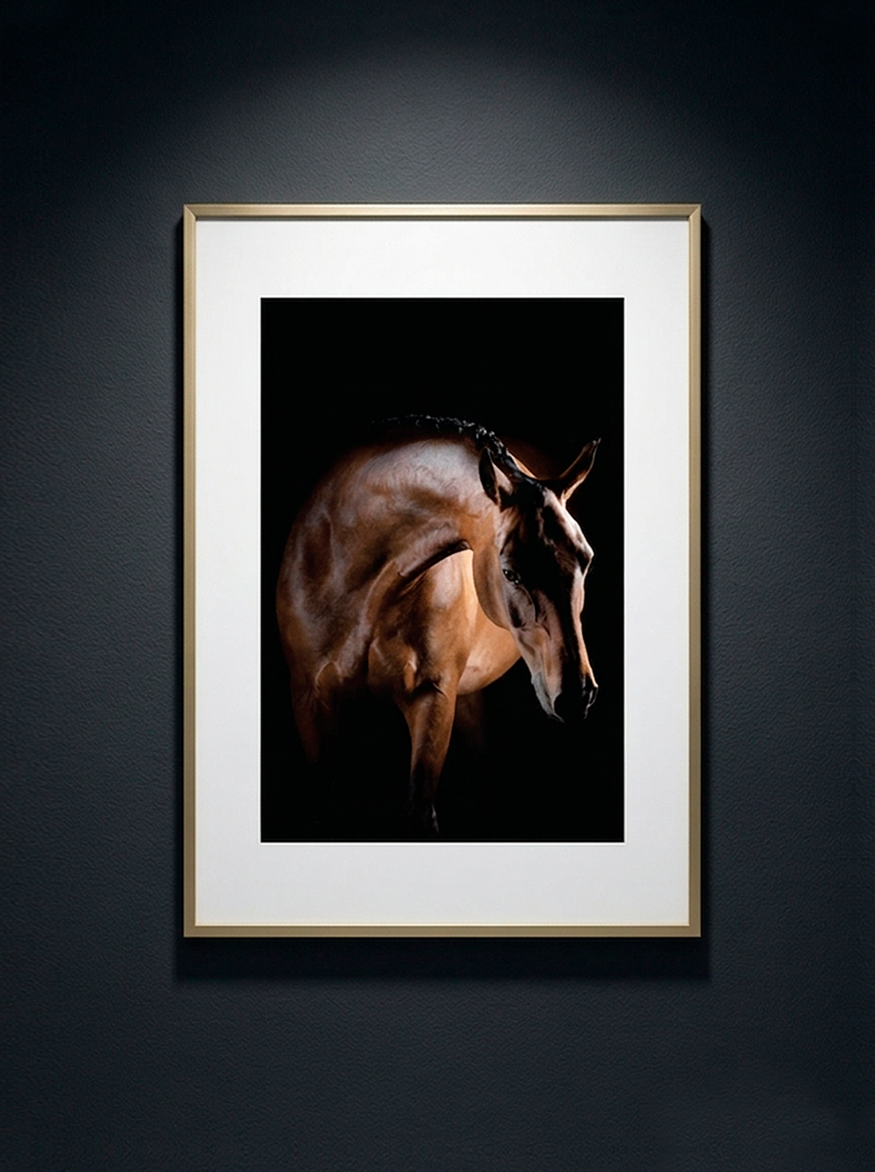 Cheval de Lumière — Serie Chevaux — Kristin Viktorsson