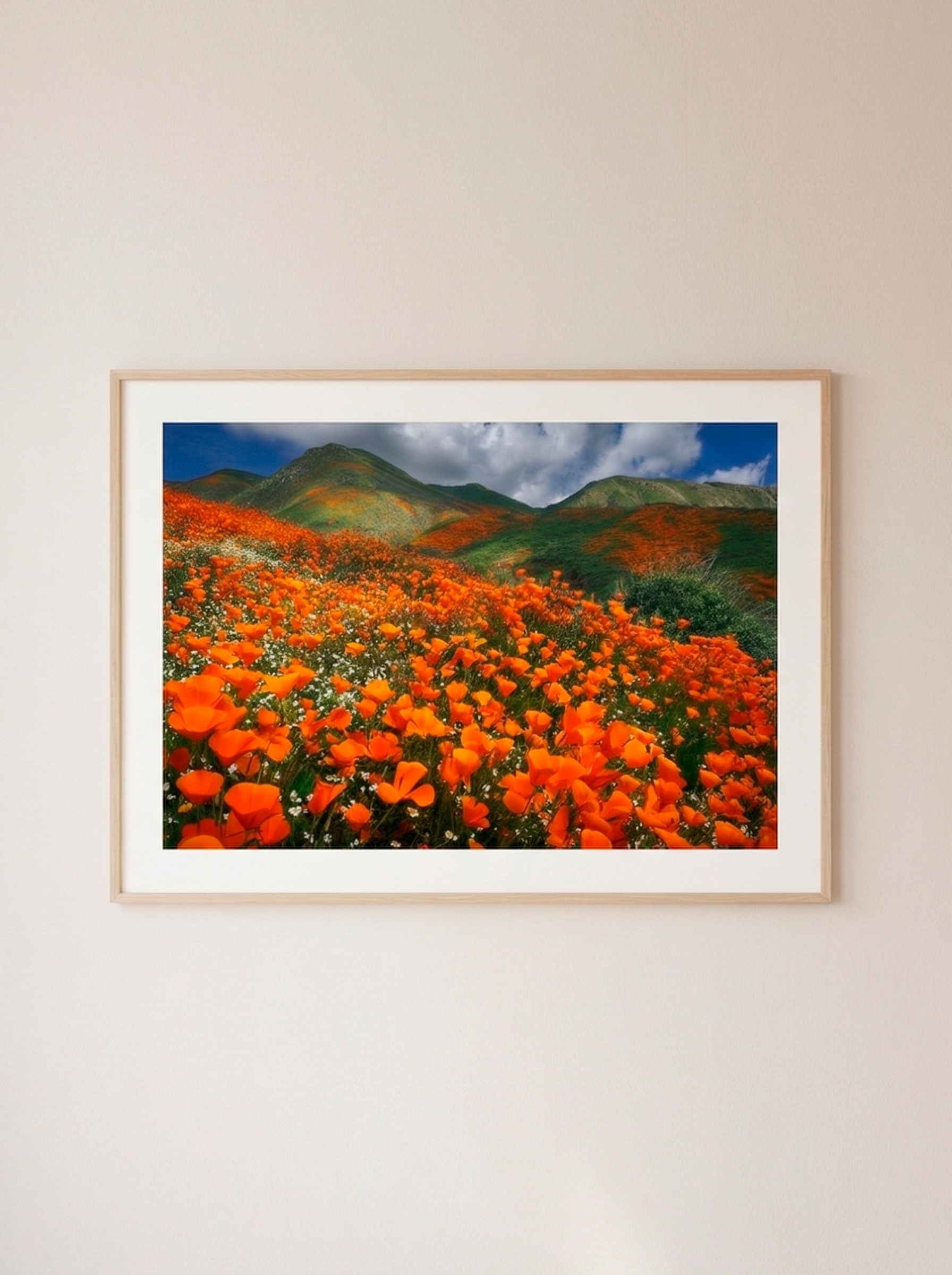 Explosión de Amapolas — Jon Farmer