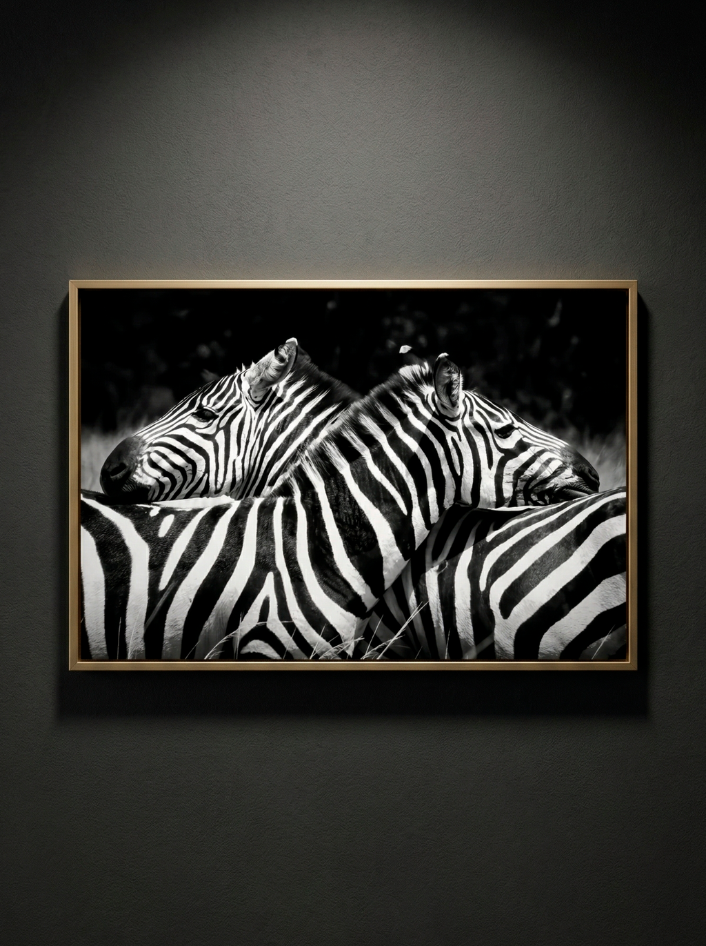 “Simetría Salvaje” — Serie Fuerza Animal — Thomas Armeli