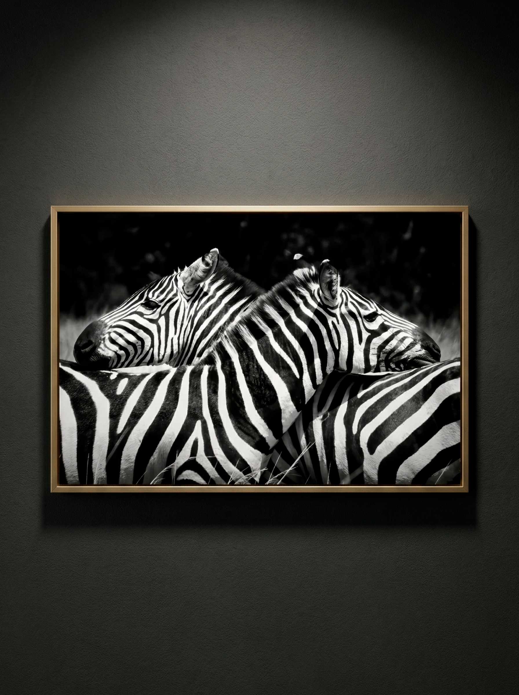 “Simetría Salvaje” — Serie Fuerza Animal — Thomas Armeli
