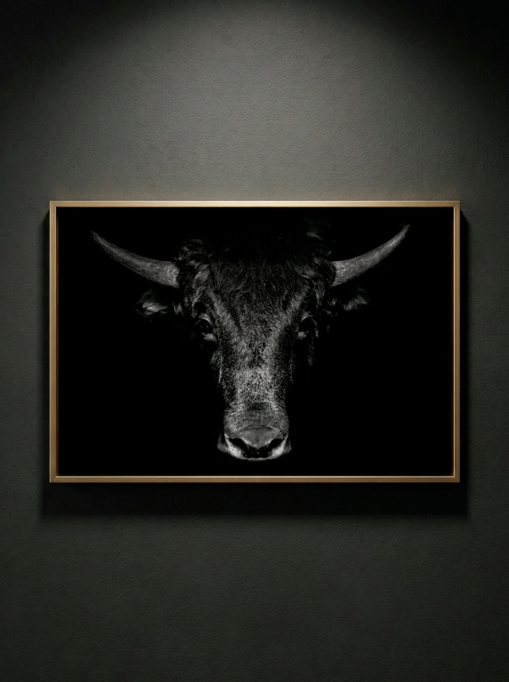 “Sombra del Búfalo” — Serie Fuerza Animal — Thomas Armeli