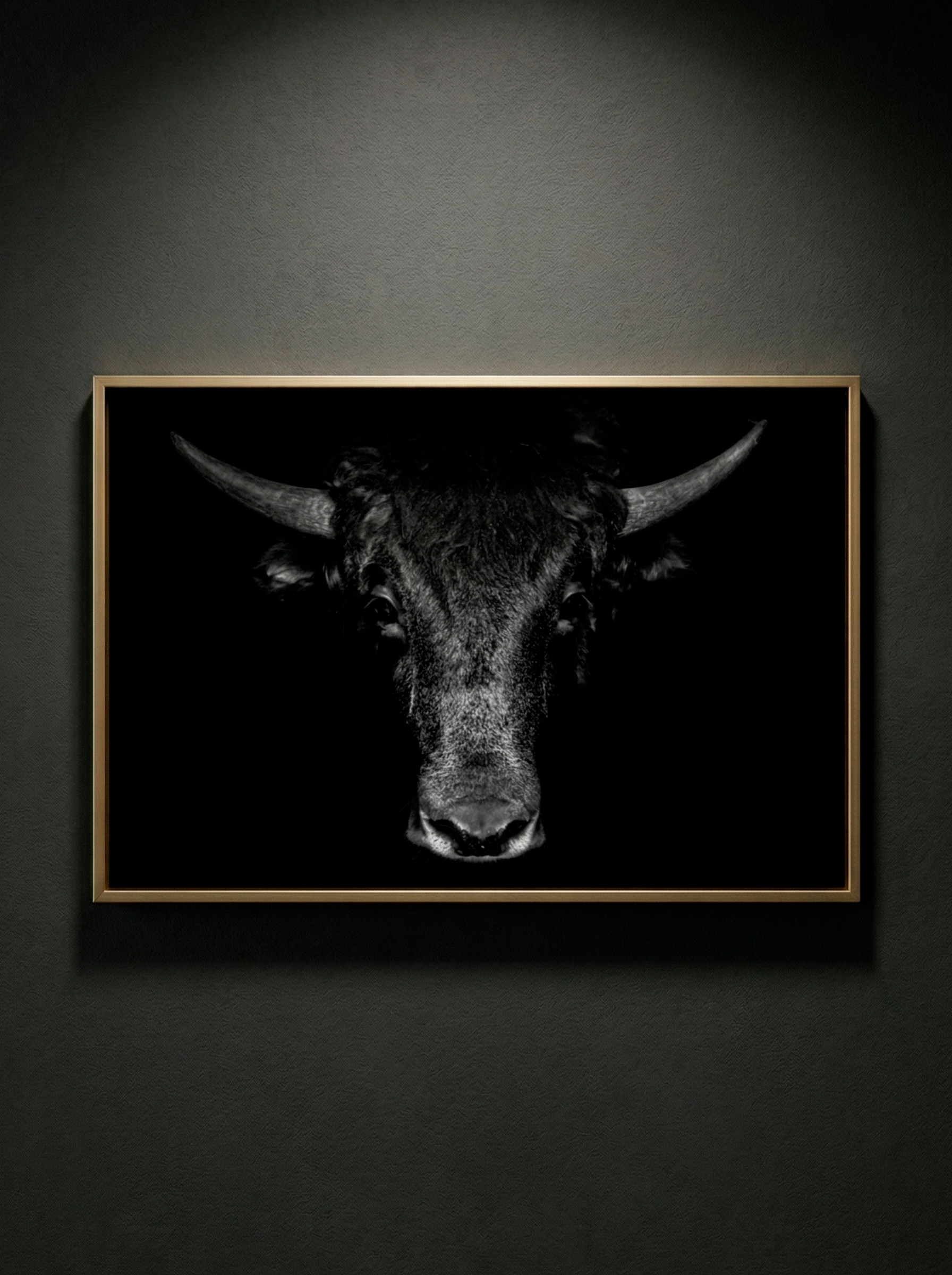 “Sombra del Búfalo” — Serie Fuerza Animal — Thomas Armeli
