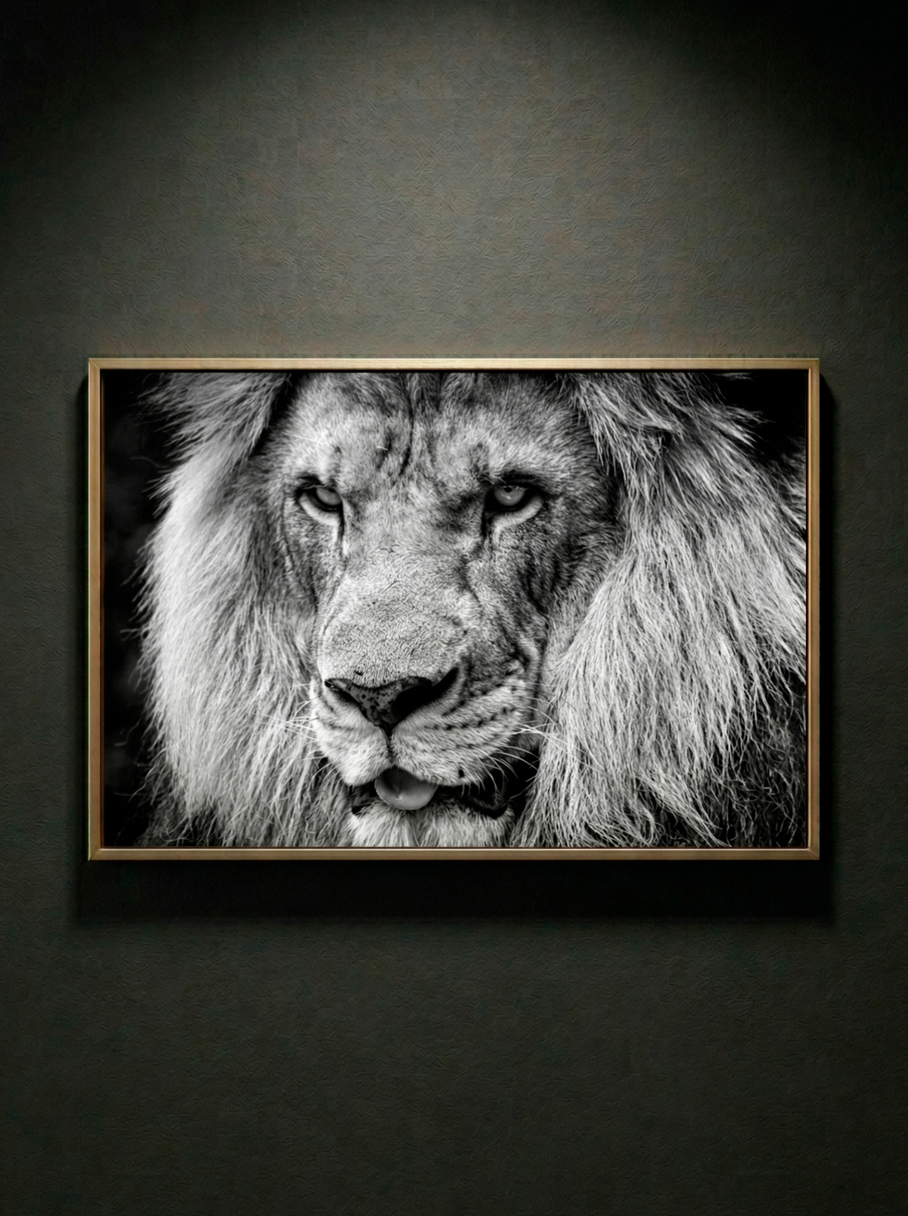 “Rey sin Ruido” — Serie Fuerza Animal — Thomas Armeli