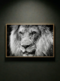“Rey sin Ruido” — Serie Fuerza Animal — Thomas Armeli
