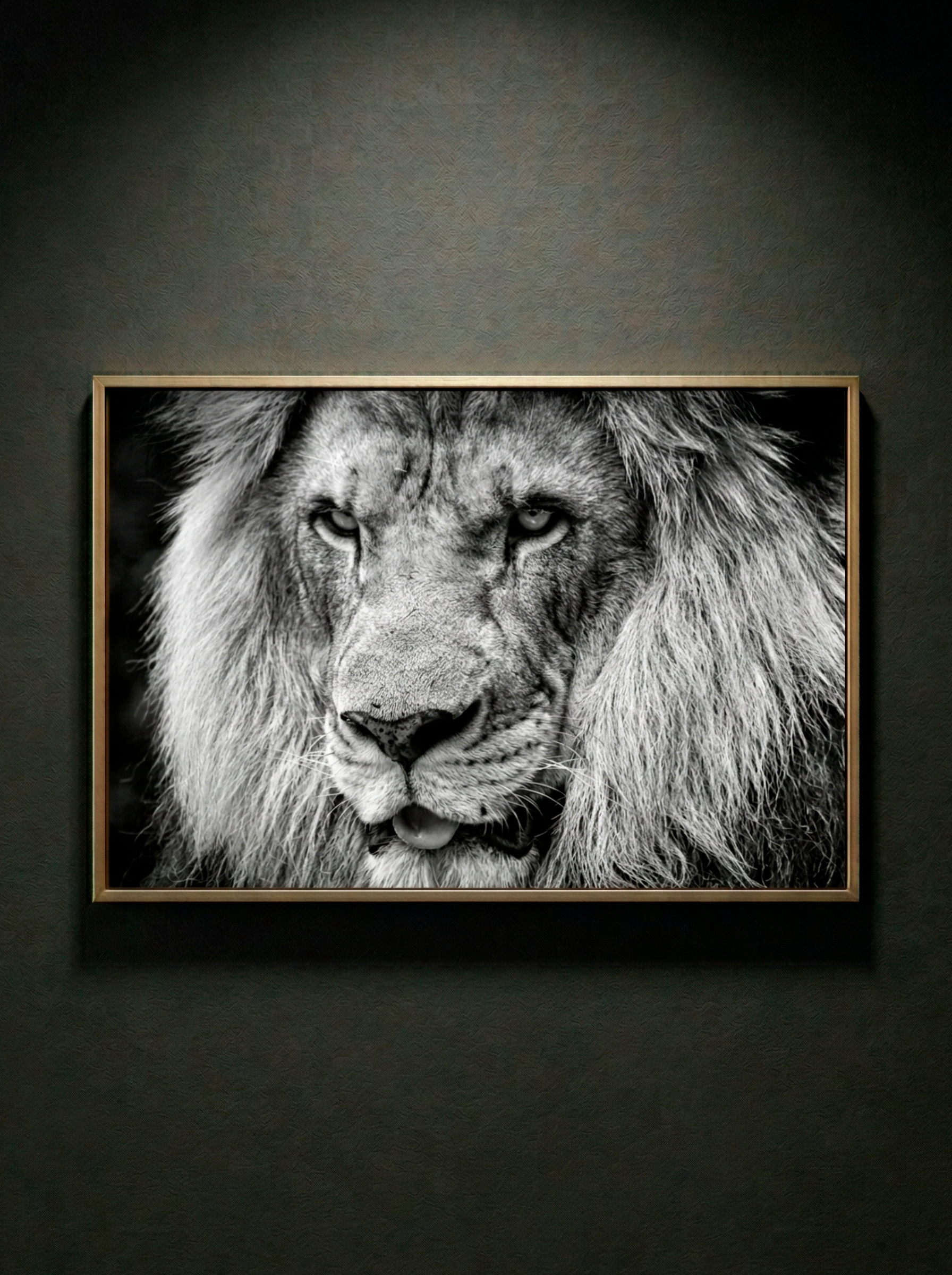 “Rey sin Ruido” — Serie Fuerza Animal — Thomas Armeli