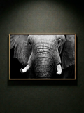 “Memoria Viva” — Serie Fuerza Animal — Thomas Armeli