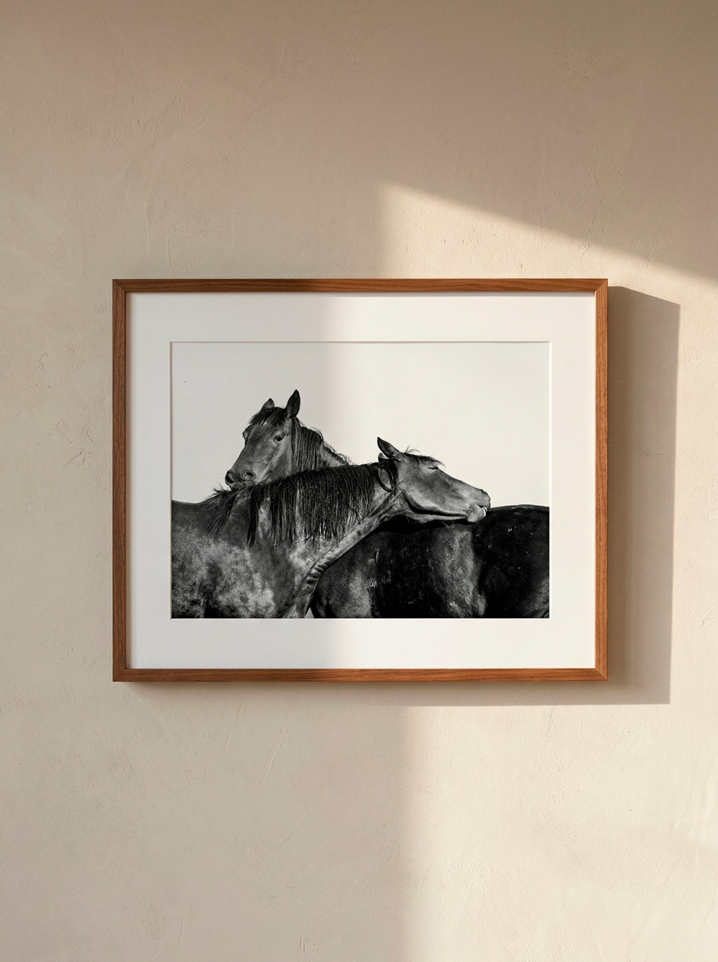 “Confianza” — Serie Campo Argentino — Victoria de Souza